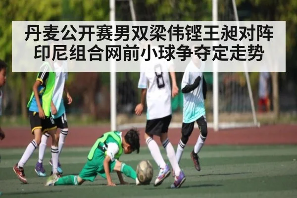 丹麦公开赛男双梁伟铿王昶对阵印尼组合网前小球争夺定走势